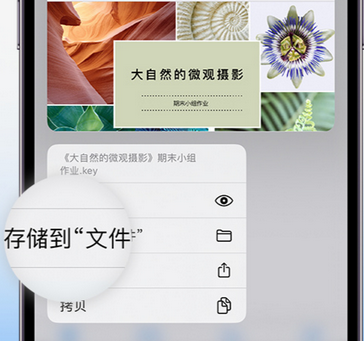 义县apple维修中心分享iPhone文件应用中存储和找到下载文件