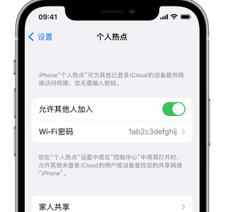 义县apple服务站点分享iPhone上个人热点丢失了怎么办