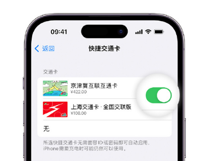 义县apple维修点分享iPhone上更换Apple Pay快捷交通卡手绘卡面 