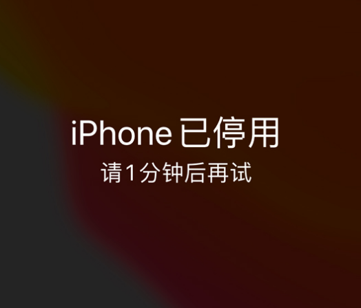 义县苹果手机维修分享:iPhone 显示“不可用”或“已停用”怎么办？还能保留数据吗？ 