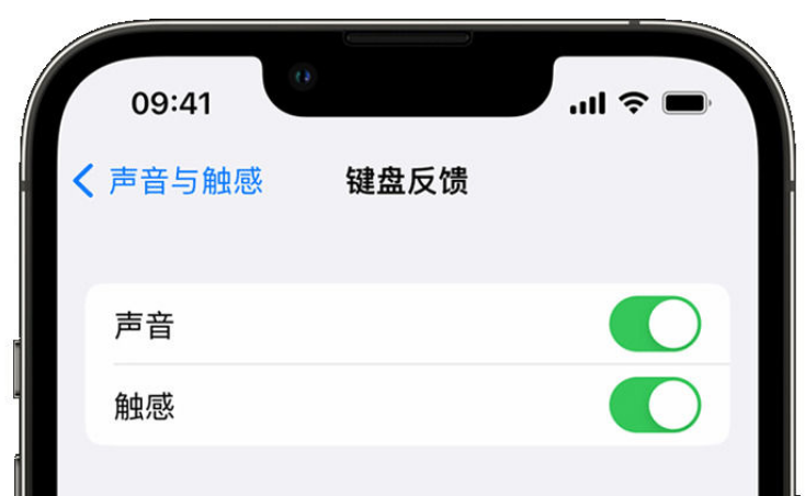 义县苹果手机维修分享iPhone 14触感键盘使用方法 