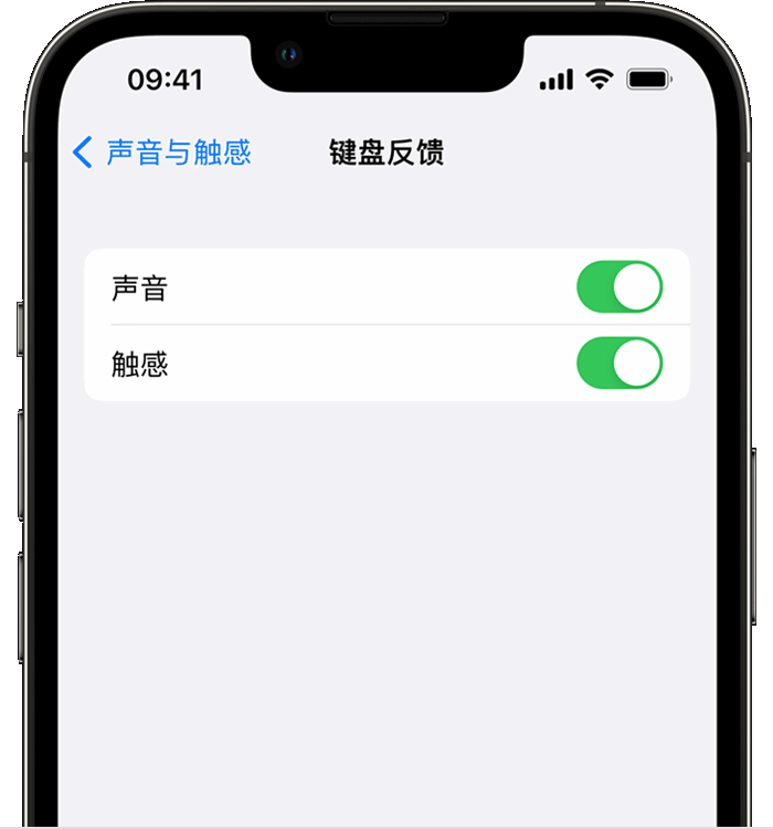 义县苹果14维修店分享如何在 iPhone 14 机型中使用触感键盘 