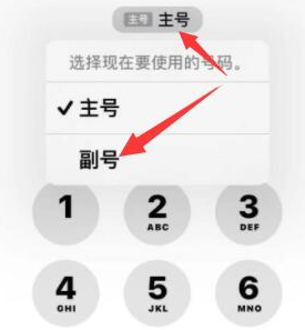 义县苹果14维修店分享iPhone 14 Pro Max使用副卡打电话的方法 