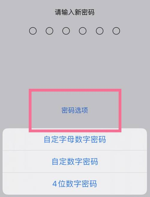 义县苹果14维修分享iPhone 14plus设置密码的方法 