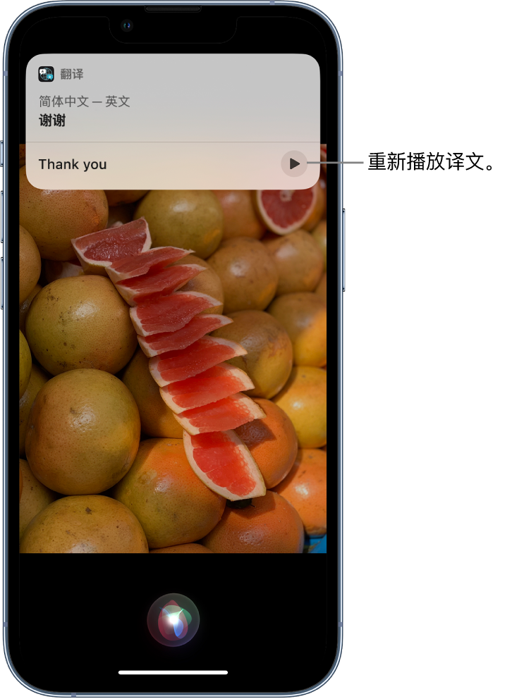 义县苹果14维修分享 iPhone 14 机型中使用 Siri：了解 Siri 能帮你做什么 