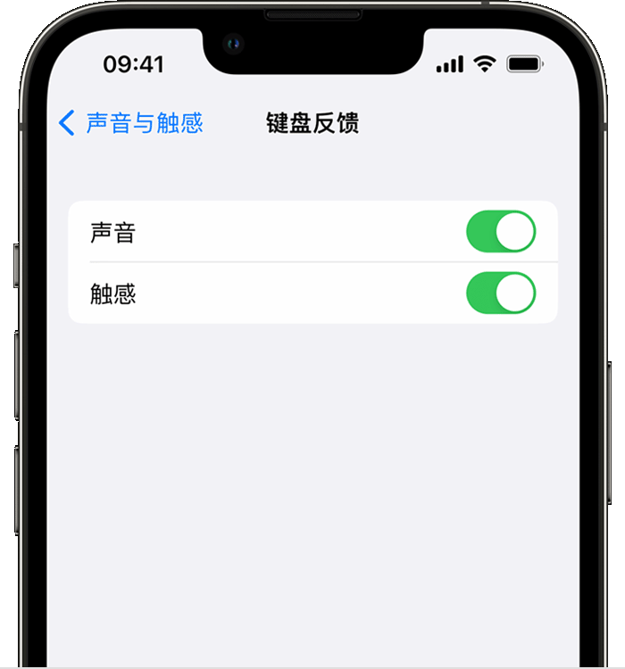 义县苹果14维修分享iPhone 14 系列机型如何开启键盘声音或触感反馈 