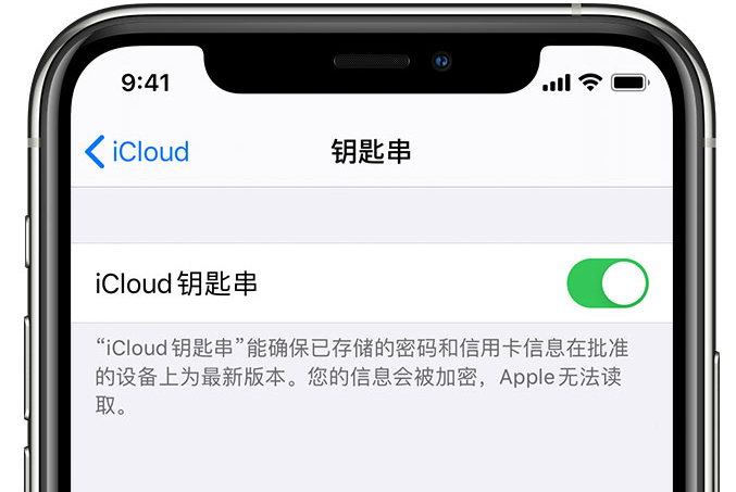 义县苹果手机维修分享在 iPhone 上开启 iCloud 钥匙串之后会储存哪些信息 