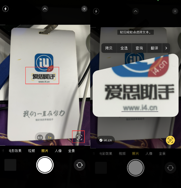 义县苹果手机维修分享升级iOS 16后如何通过相机翻译文本 