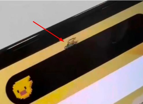 义县苹果14维修分享iPhone 14 Pro Max灵动岛怎么养宠物 
