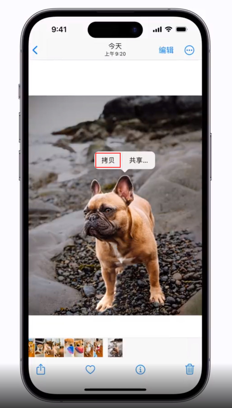 义县苹果手机维修分享 iOS 16 自带一键抠图功能 
