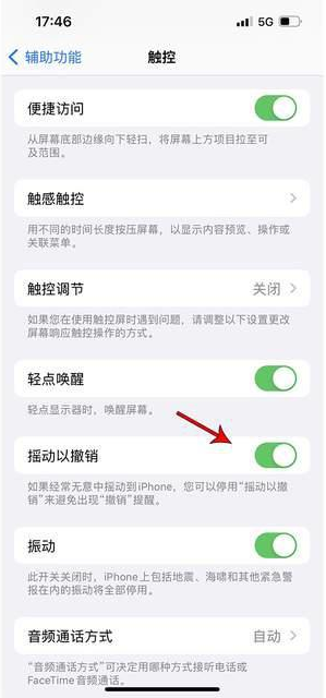 义县苹果手机维修分享iPhone手机如何设置摇一摇删除文字 