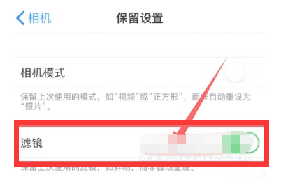 义县苹果13维修分享iPhone13拍照有绿点是怎么回事 