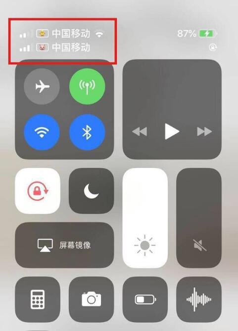 义县苹果手机维修分享为 iPhone 12 双卡设置标签 